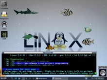DSLinux